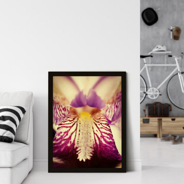 Antiqued Iris Floral Wall Art Prints