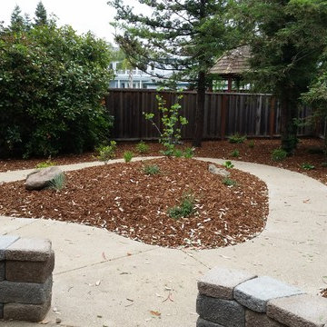 Drought Tolerant