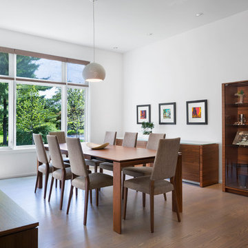 Contemporary design and finishes - dining room