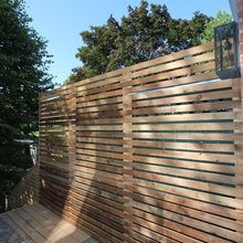 Vancouver backyard