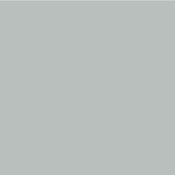Benjamin Moore Winter Solstice 1605