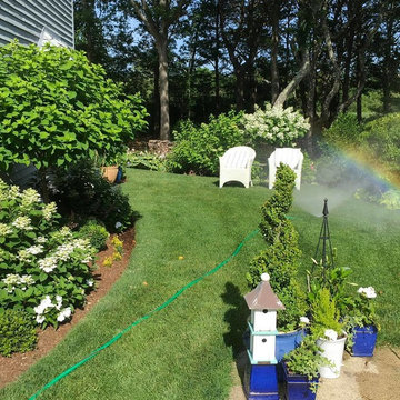 Little Vignettes of a Small Garden Space