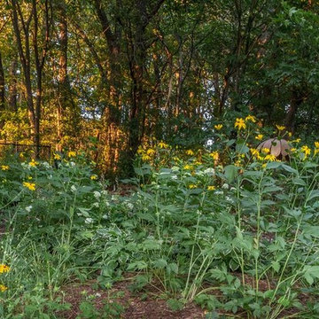 Kerin's Garden