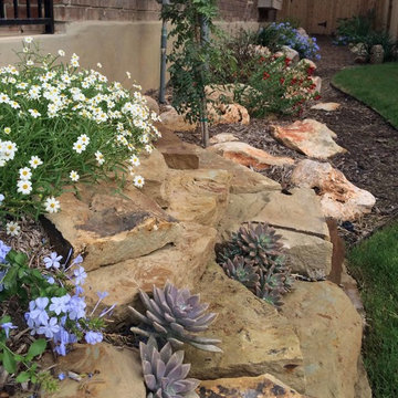 Xeriscape #4