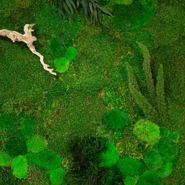 Preserved Moss Wall Art