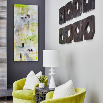 Transitional/Modern in the Suburbs