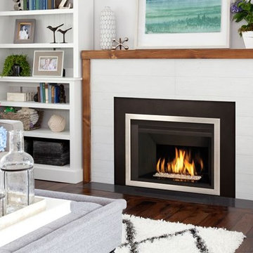 Contemporary Fireplace Inserts