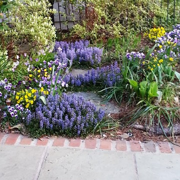 Spring Displays