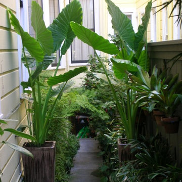 Hayes Garden