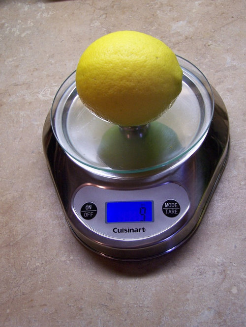 Meyer Lemon fruit size (weight) question
