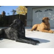 Foto von Cary Chien