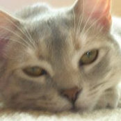 Susie Plog's photo
