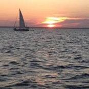 Stacy Errickson's photo