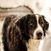 Foto von Eric Myers