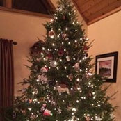 Lou Engwer's photo
