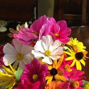 Annie Christenson's photo