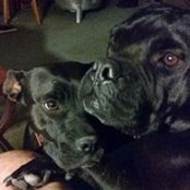 Lisa Franklin's photo