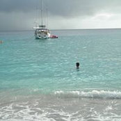 Steve Taylor's photo