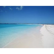 Paul Van Hoof's photo