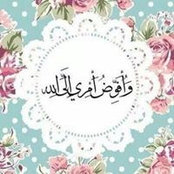 Foto von Sue Abo Elsebaa