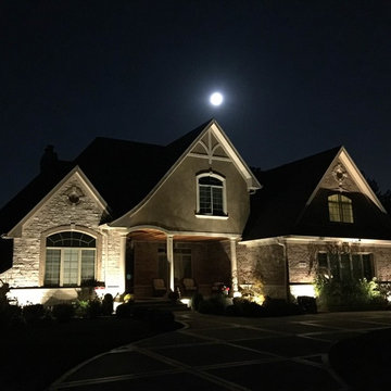 Elegant Uplighting