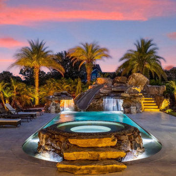Tropical Oasis