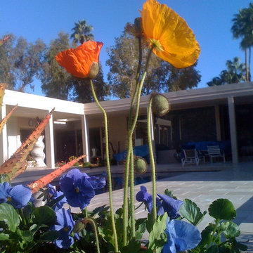 Landscape Projects