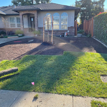 Kronos Tree Care & Landscaping