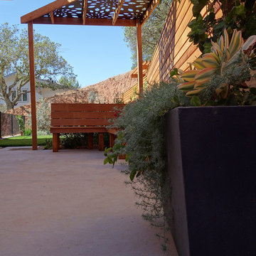 Contemporary Landscape Design for a Narrow Back Yard in Napa, CA
