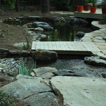 Backyard Koi Pond