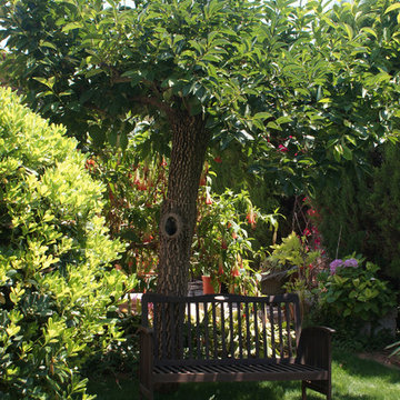 El jardín de Veva