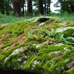 Eklektischer Garten mit Steindeko in Charlotte