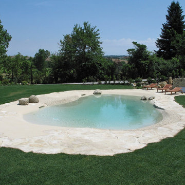 Biodesign Natural Pond Pools