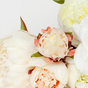 Suzy Vohsen's photo