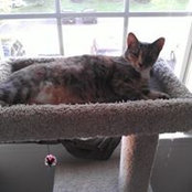 Robyn Simmons's photo