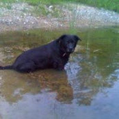 Michael Perry Jr's photo