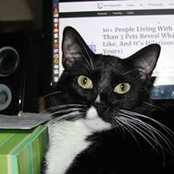 Margaret Merchant's photo