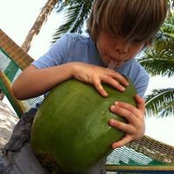 Andrea Stein's photo