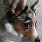Amber Huff's photo
