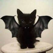 Nancy Carter's photo