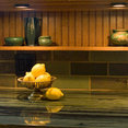 Designers Photographer Jeffrey Volker's profile photo