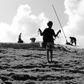 Max Scherpy's photo