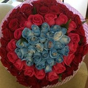 Lina Sinay's photo