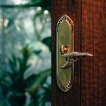 doors