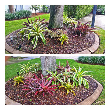 Garden Designs