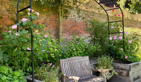 How to Futureproof Your Garden