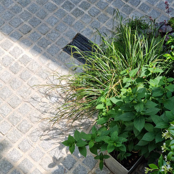 Secluded shady courtyard - Epsom