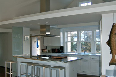 Kitchen - modern kitchen idea in Boston