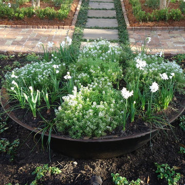 Snapdragons, Violas, and Allysum