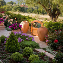 Landscape Ideas